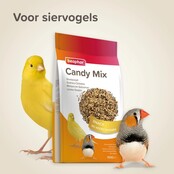Beaphar snoepzaad voor vogels