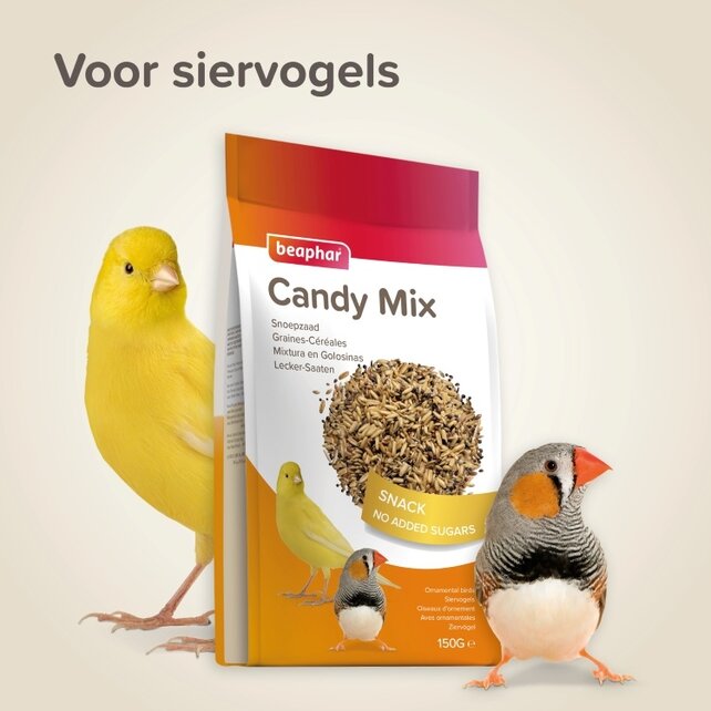 Beaphar snoepzaad voor vogels