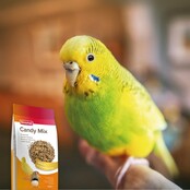 Beaphar snoepzaad voor vogels