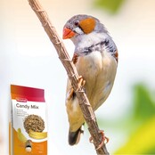 Beaphar snoepzaad voor vogels