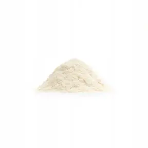 Aves loridry