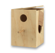 Nestkast voor roodrugparkiet kopen | Tips & afmetingen voor een ideaal broedhuis