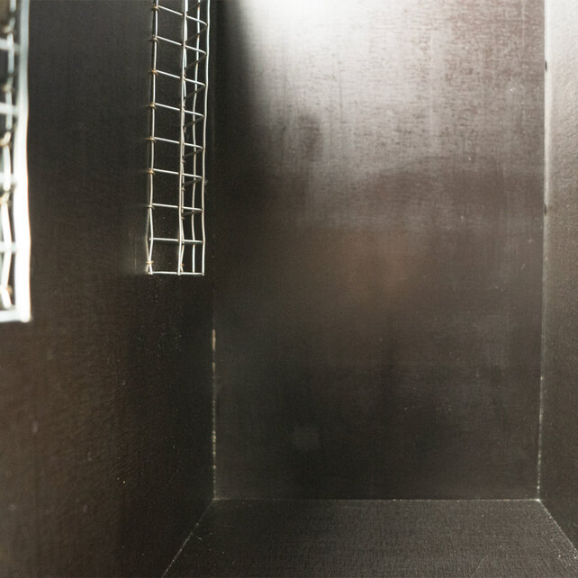 Broedblok Kaketoe Broedblok Kaketoe