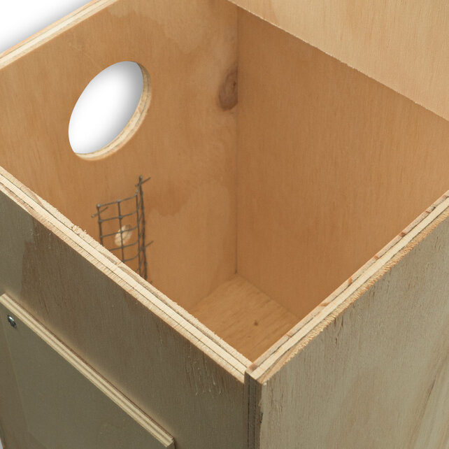 Houten nestkast voor de pruimkopparkiet – veilig, duurzaam en op maat gemaakt Houten nestkast voor de pruimkopparkiet – veilig, duurzaam en op maat gemaakt