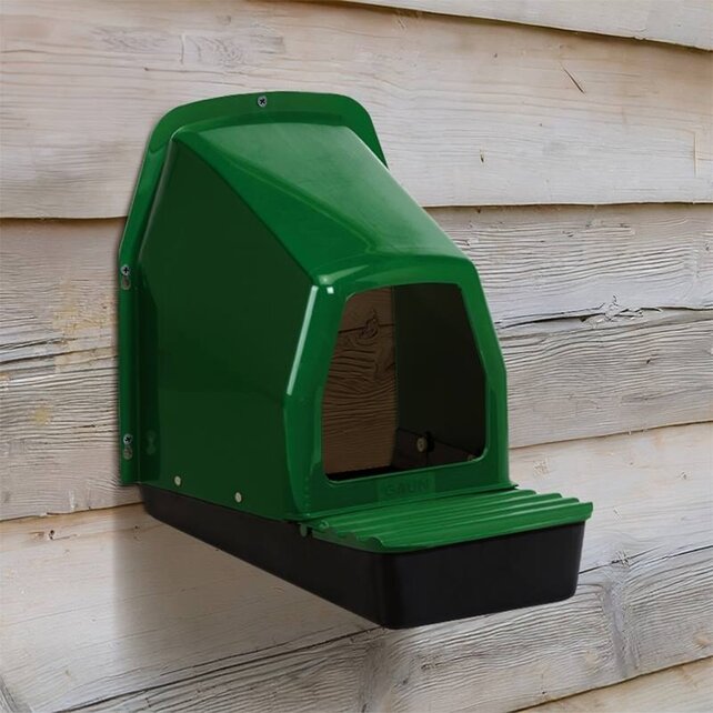 Starterkit voor kippen – alles wat je nodig hebt om te beginnen! Starterkit voor kippen – alles wat je nodig hebt om te beginnen!