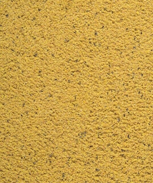 Orlux Gold Patee 10 kilo