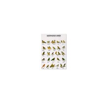 Gelamineerde Vogelposter Australische Vinken – Duurzaam & educatief