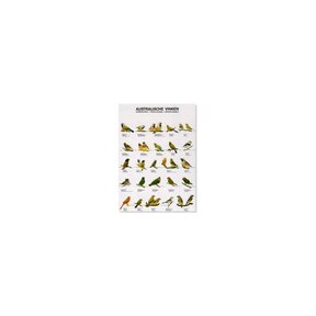 Vogelposter Australische Vinken