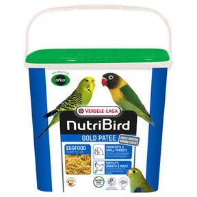 Gold Patee parkieten en kleine papegaaien 5 kilo