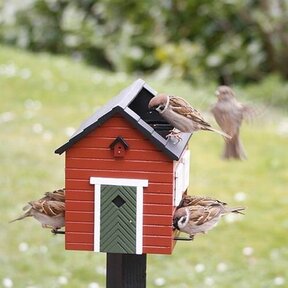Vogelvoederhuisje met bad rood
