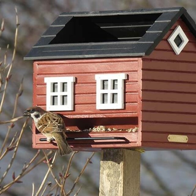 Vogelvoederhuisje met bad rood