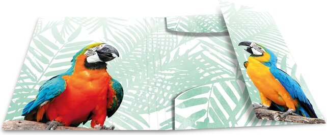 Verzamelmap tropische vogels Verzamelmap tropische vogels