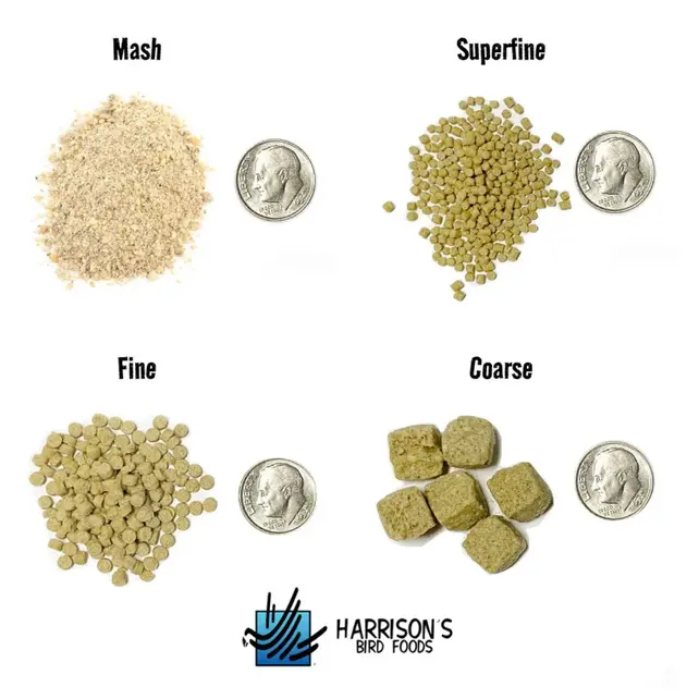 Harrison's Adult Life Time Super Fine 1 pound