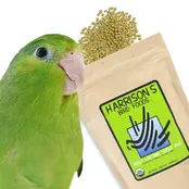 Harrison's Adult Life Time Super Fine 1 pound