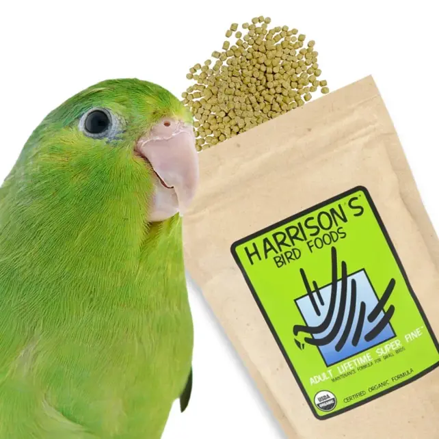 Harrison's Adult Life Time Super Fine 1 pound