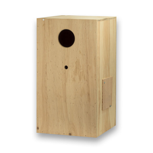 Broedblok voor de pyrrhura