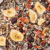 Deli Nature 22 Amazonia