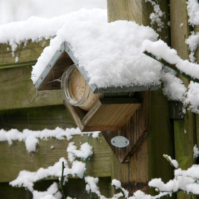 Pindakaashuisje voor vogels | Voederhuisje voor pindakaas voor tuinvogels Pindakaashuisje voor vogels | Voederhuisje voor pindakaas voor tuinvogels