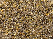 Mussenzaad kopen | Voedzaam vogelvoer voor mussen en tuinvogels