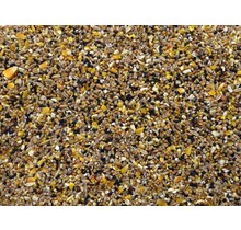 Mussenzaad kopen | Voedzaam vogelvoer voor mussen en tuinvogels