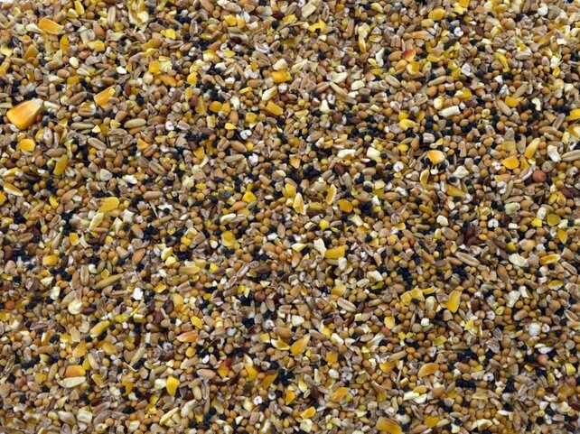 Mussenzaad kopen | Voedzaam vogelvoer voor mussen en tuinvogels