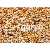 Garvo 3838 Tropical Gold