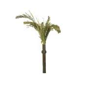 Panicum – Natuurlijke lekkernij voor vogels en knaagdieren