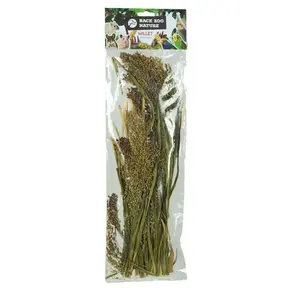 Panicum (trosgierst)