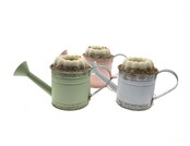 Vogeltaart in gieter – Uniek vogelcadeau voor tuinvogels