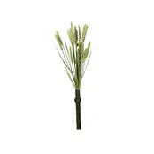 Tarwe aren – natuurlijke lekkernij voor vogels, kippen en knaagdieren