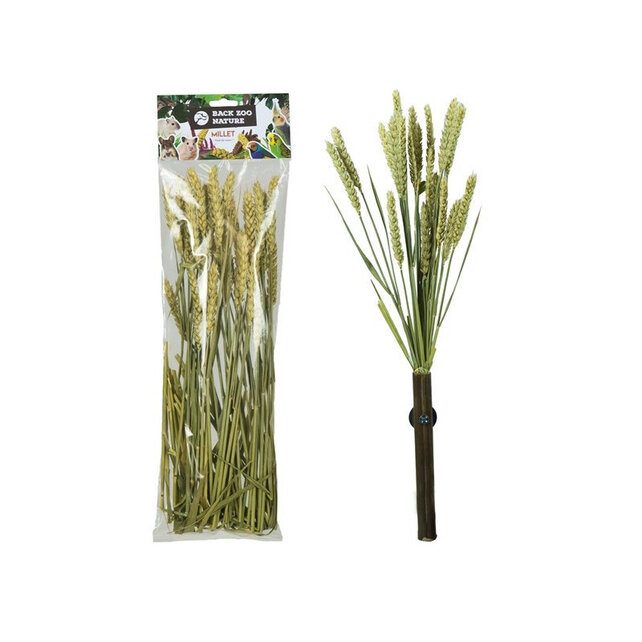 Tarwe aren – natuurlijke lekkernij voor vogels, kippen en knaagdieren