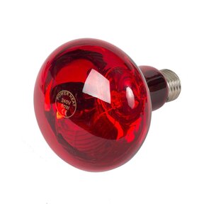 Infrarood warmtelamp 60 watt