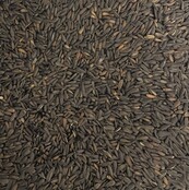 Zonnebloempitten micro zwart