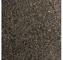 Zonnebloempitten micro zwart