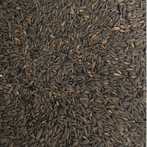 Zonnebloempitten micro zwart