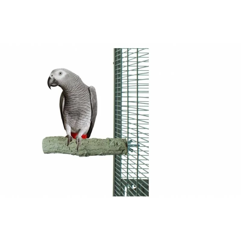 Waarom zitstokken belangrijk zijn voor de gezondheid van vogels