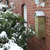 Mussenvilla kopen | Nestkast voor huismussen & mussenflat online