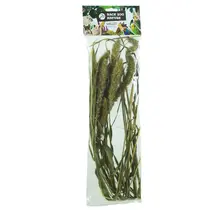 Vogelgierst (Setaria): een natuurlijke lekkernij voor vogels