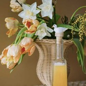 Flessenstopper kwaker