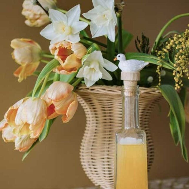 Flessenstopper kwaker