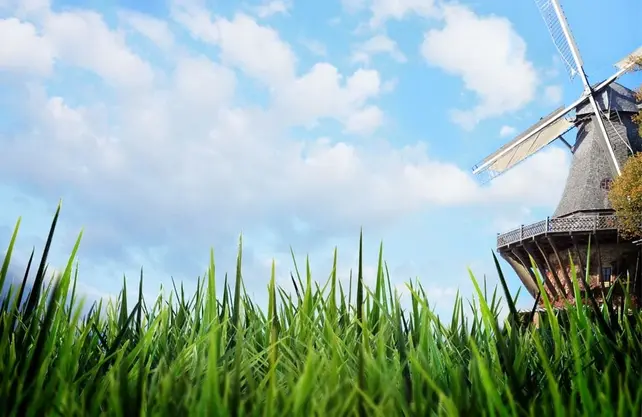 Kamervoliere / vluchtkooi met fotoprint