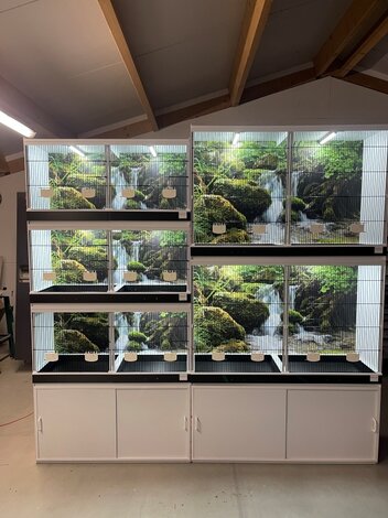 LED verlichting in broedkooien: de sleutel tot succesvolle vogelbroed