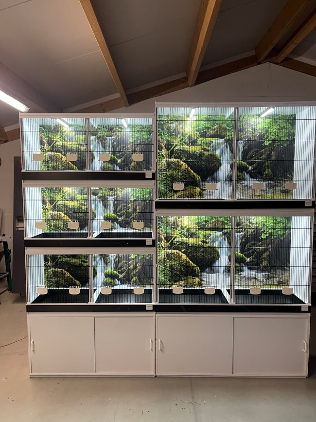 LED verlichting in broedkooien: de sleutel tot succesvolle vogelbroed