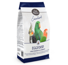 Eivoer grote parkiet/papegaai