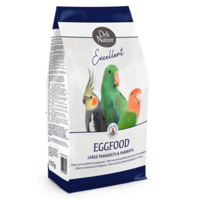 Eivoer grote parkiet/papegaai