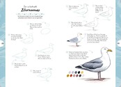 Vogels - Tekenen in 10 stappen