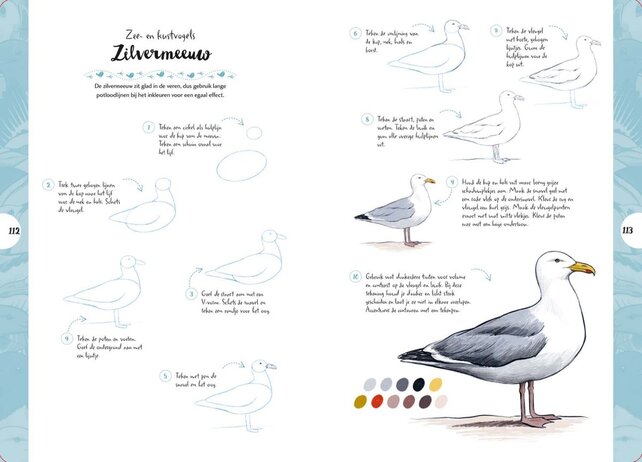 Vogels - Tekenen in 10 stappen