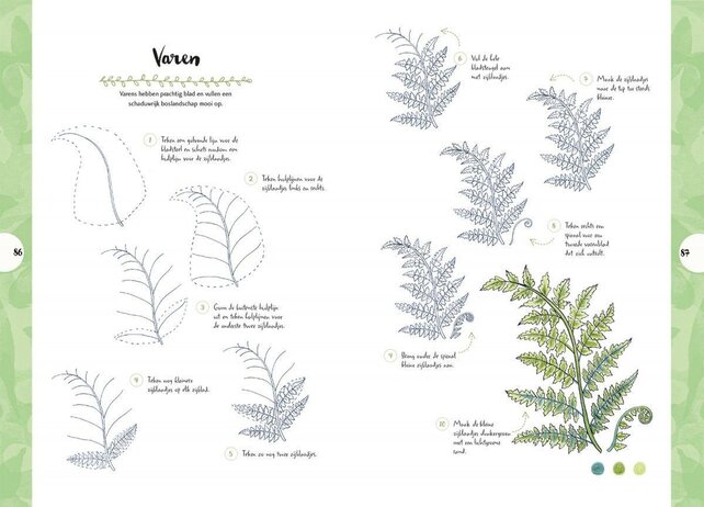 De natuur - Tekenen in 10 stappen