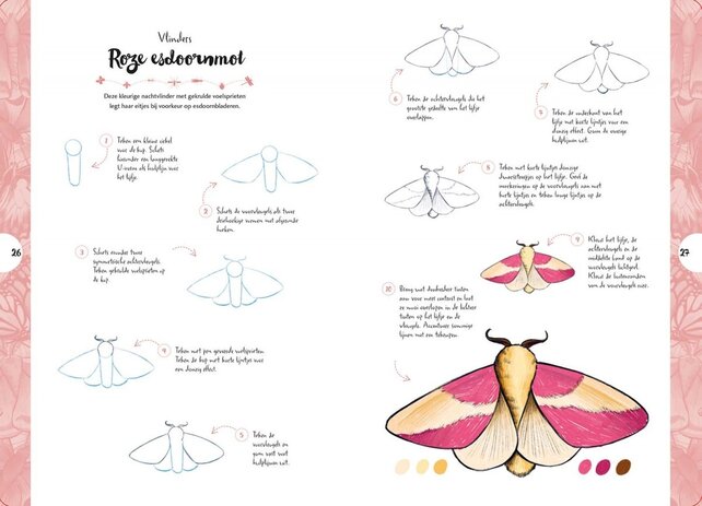 Insecten  - Tekenen in 10 stappen