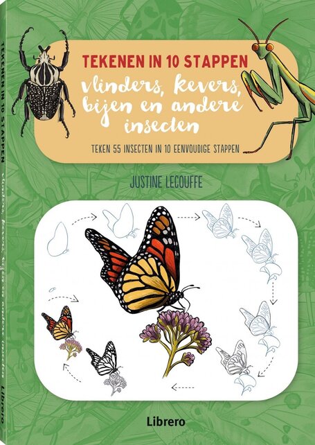 Insecten  - Tekenen in 10 stappen